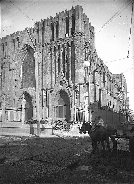 50211518458_f44c073969_z